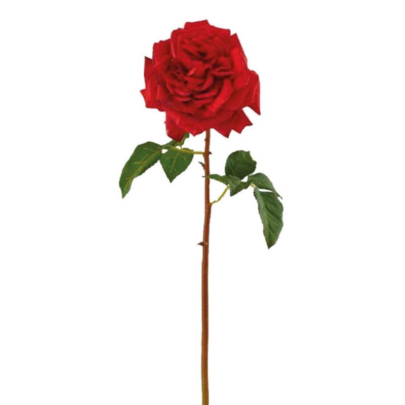 L27X12 Роза Regia Flower Adriani e Rossi  - Вид №1