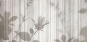 Полосатые обои