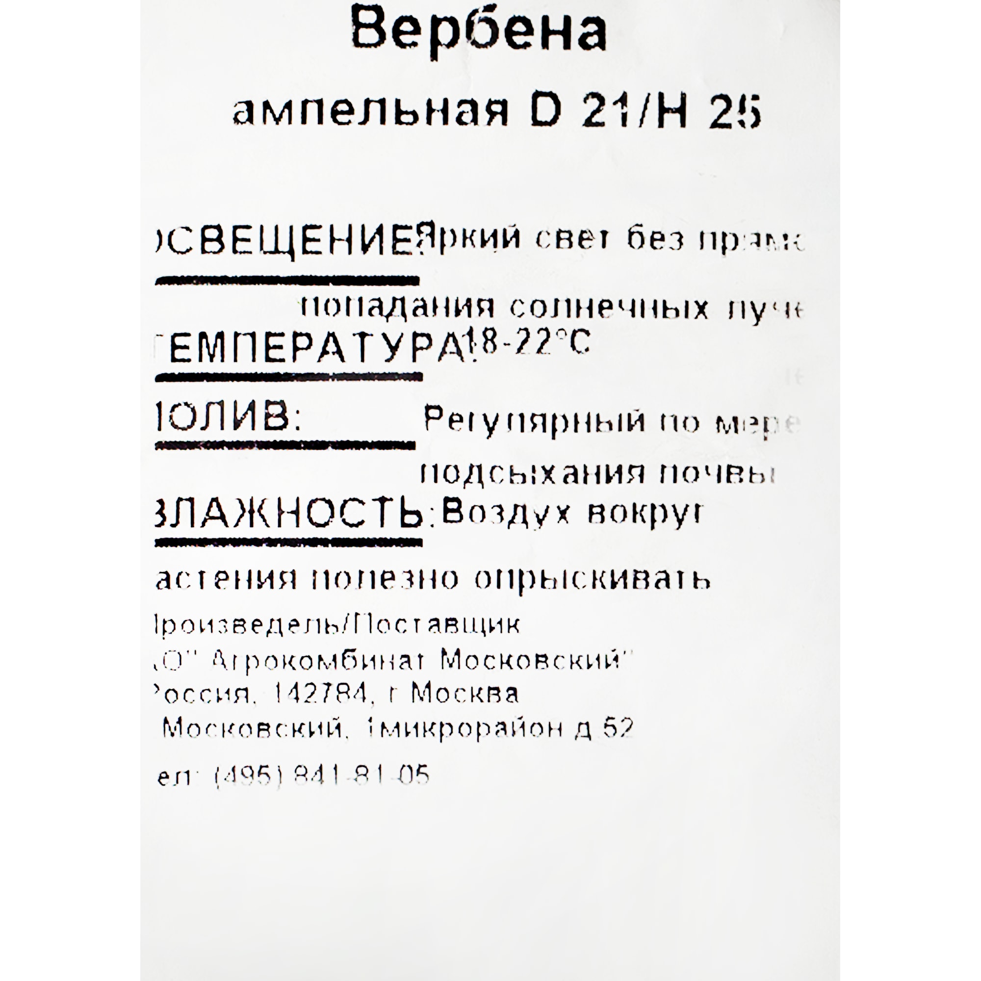 12713593 Рассада «Вербена ампельная», 25x21 см Santreyd  - Вид №1