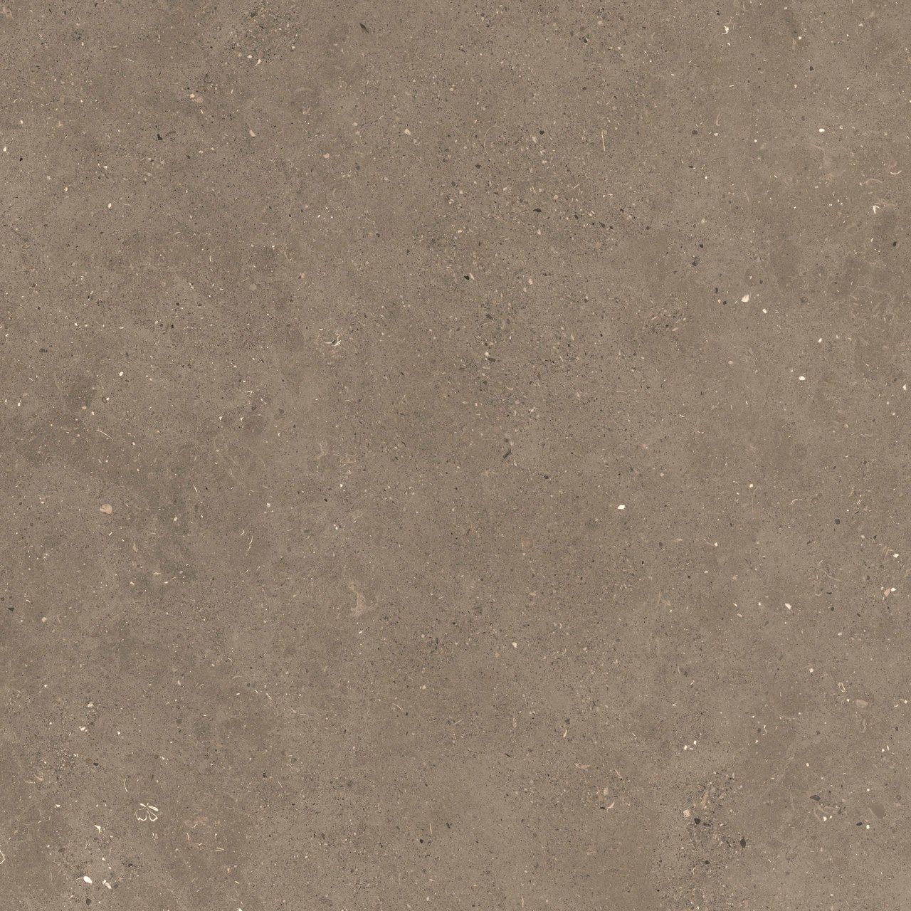 Пол / облицовка керамогранита с эффектом камня Fiandre сплошная ARCH-00006905 - Вид №11