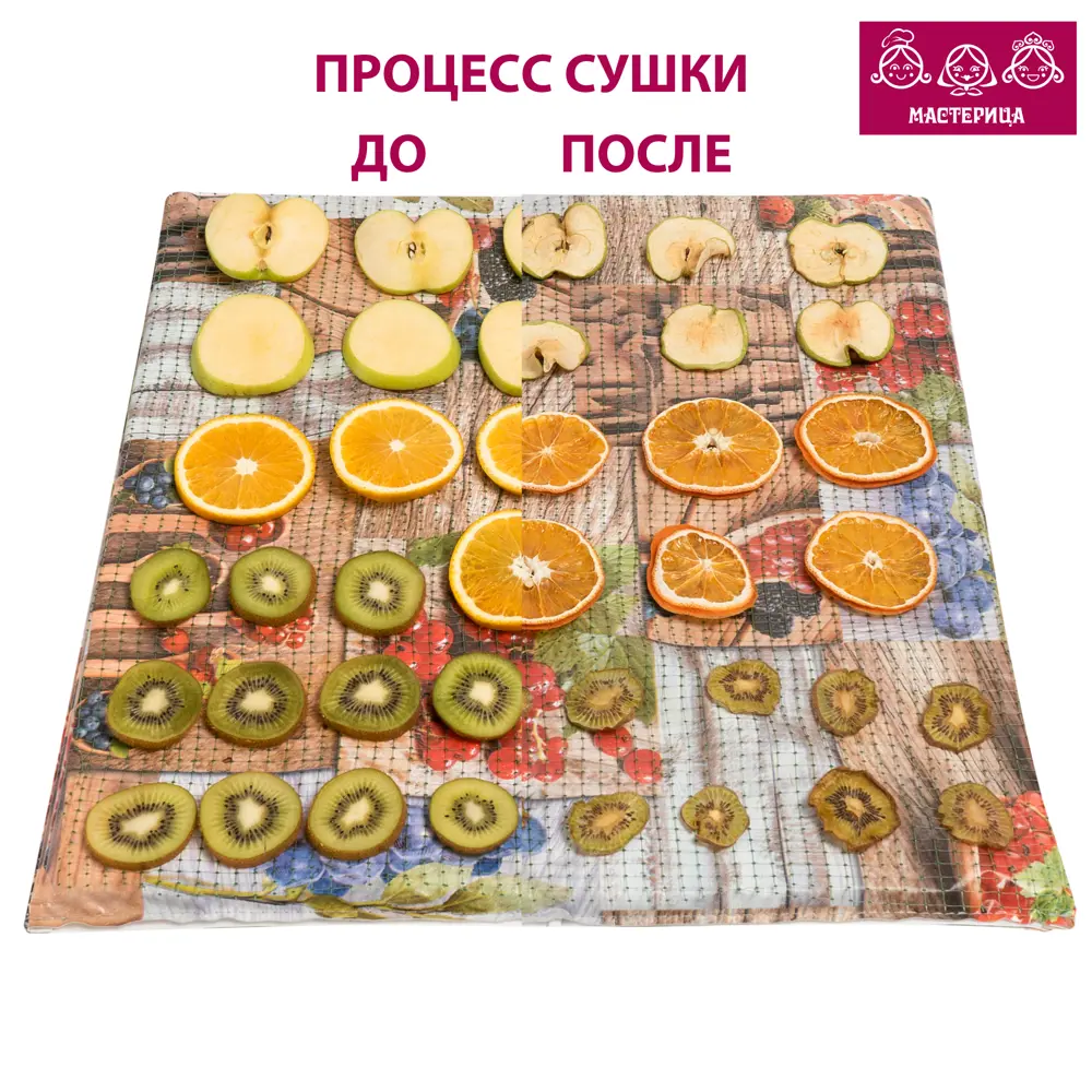 Сушилка-скатерть MASTERICA ОНЭ-5.2 для деликатной сушки продуктов 88747857 STLM-0952620 - Вид №1