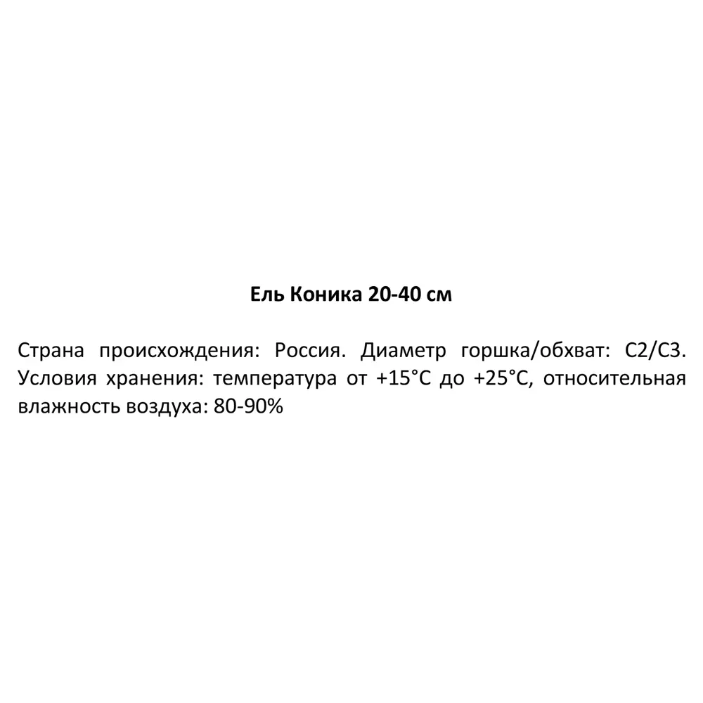 Ель Коника С2 h30-40 см 85320186 STLM-2139648 Santreyd  - Вид №2