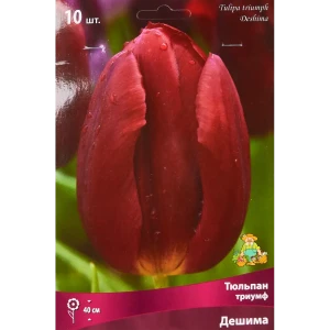 Тюльпан Триумф Дешима, 10 шт 85205539 STLM-2201822