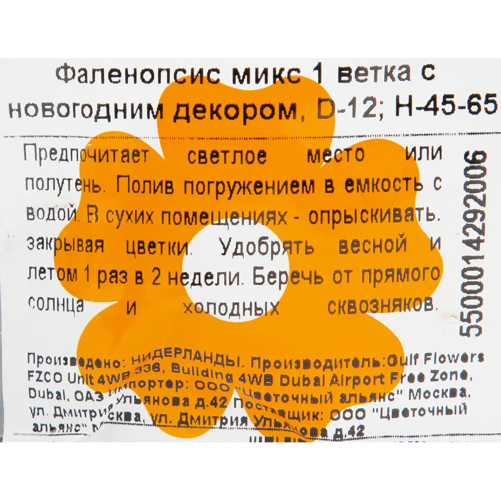 Орхидея Фаленопсис с декором ø12 h45 см 83060733 STLM-2050992 Santreyd  - Вид №2