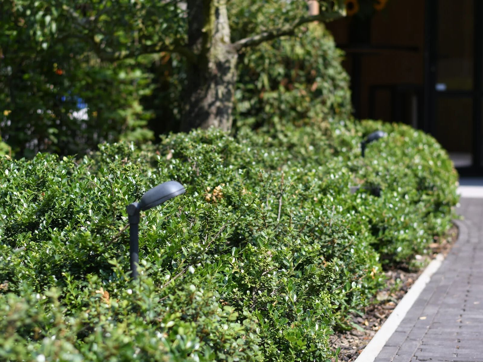 Латунный светодиодный световой столб Authentage Lighting Charmond ARCH-00041082