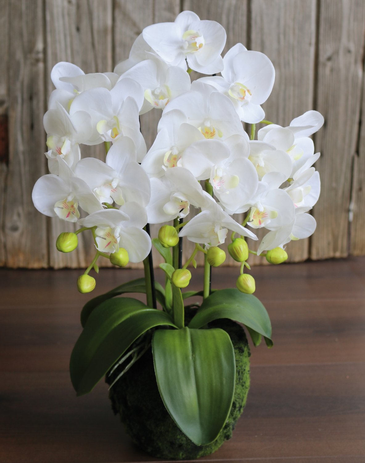 2862 777 a3 Пластиковая орхидея Phalaenopsis с 'почвой', 3-х кратная, 45 см, real touch, белая H-andreas  - Вид №5