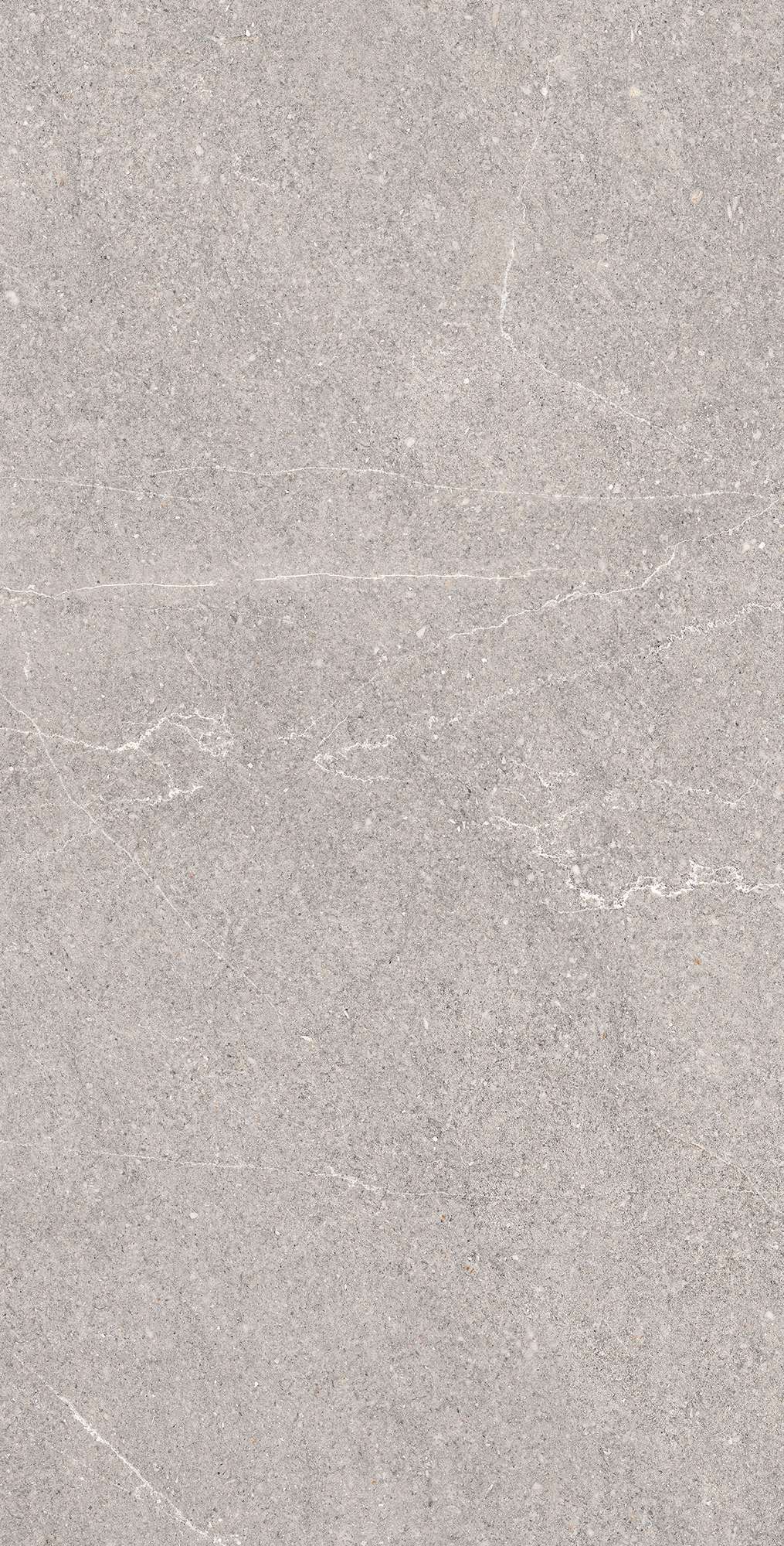 EQUISTONE GRIS: Элегантность природного камня RG6001-A Arcadia Ceramica - Вид №3