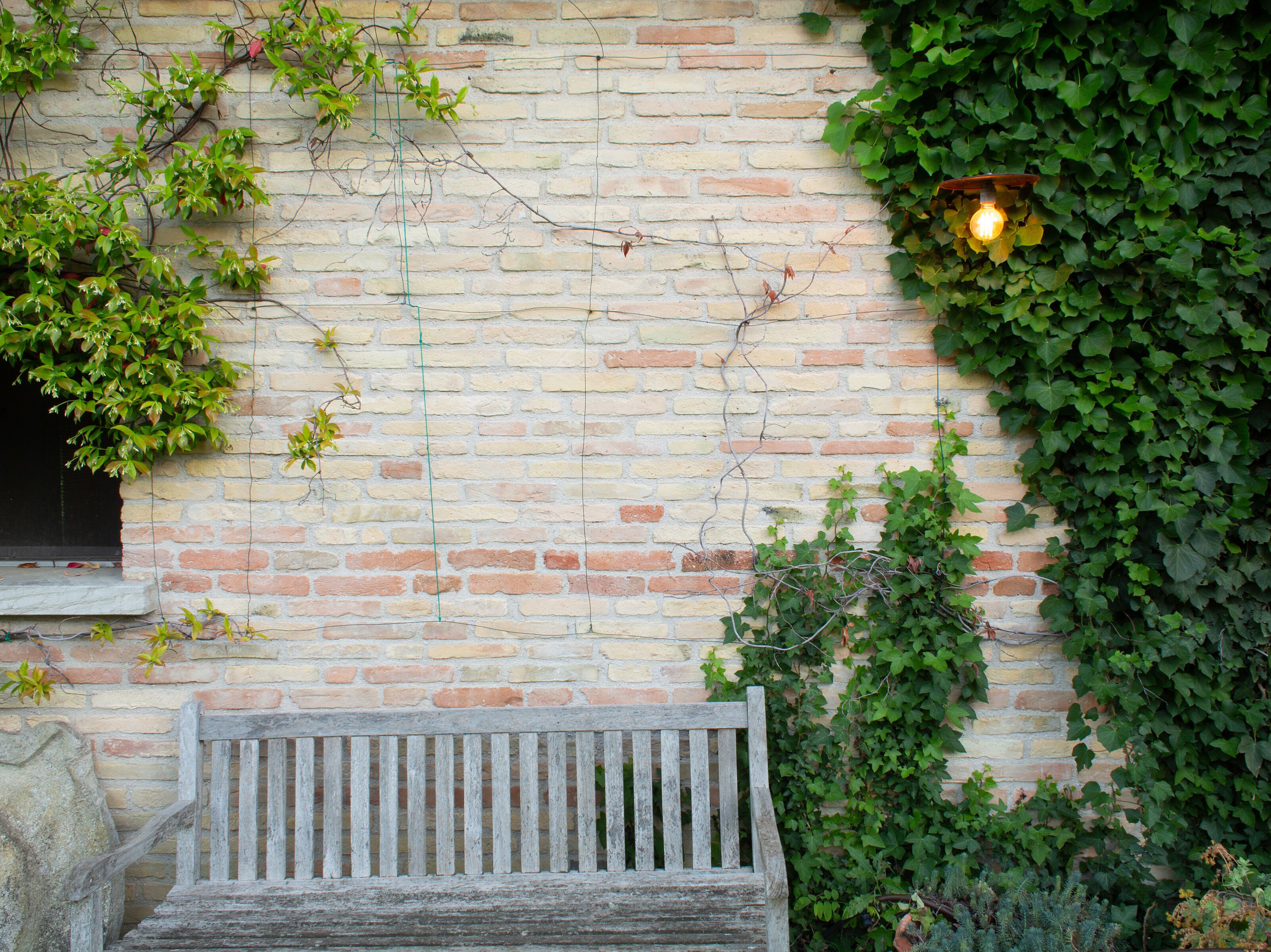 Открытый светодиодный настенный светильник Renzo Serafini Mexical ARCH-00120112 - Вид №2