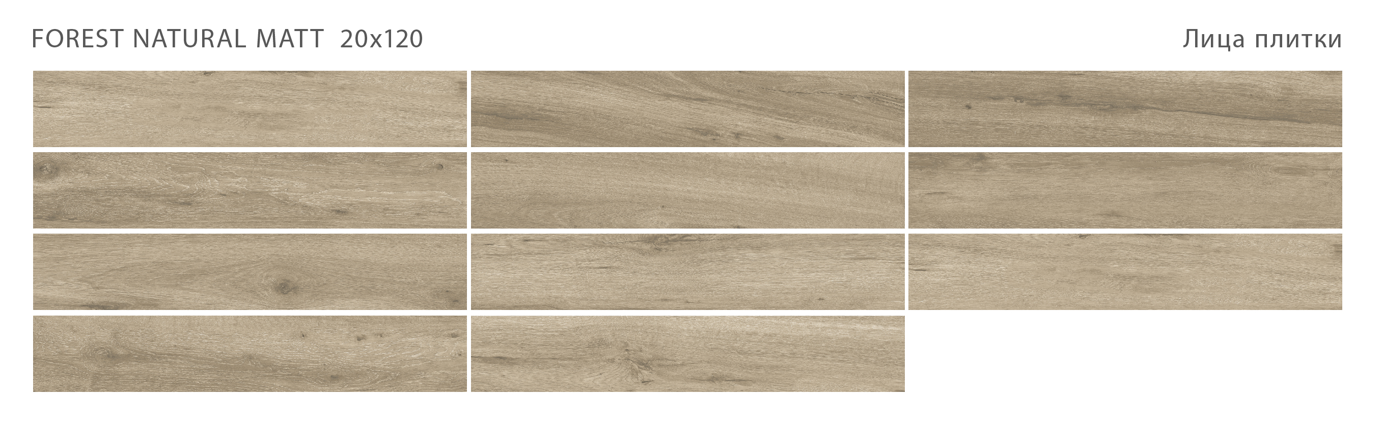 Лесное очарование: керамогранит STAROWOOD Forest STP-ST220 INCOLOR - Вид №1