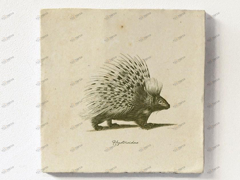 Groovy Magnets Настенный декоративный предмет из керамики Tiles M-tile-po