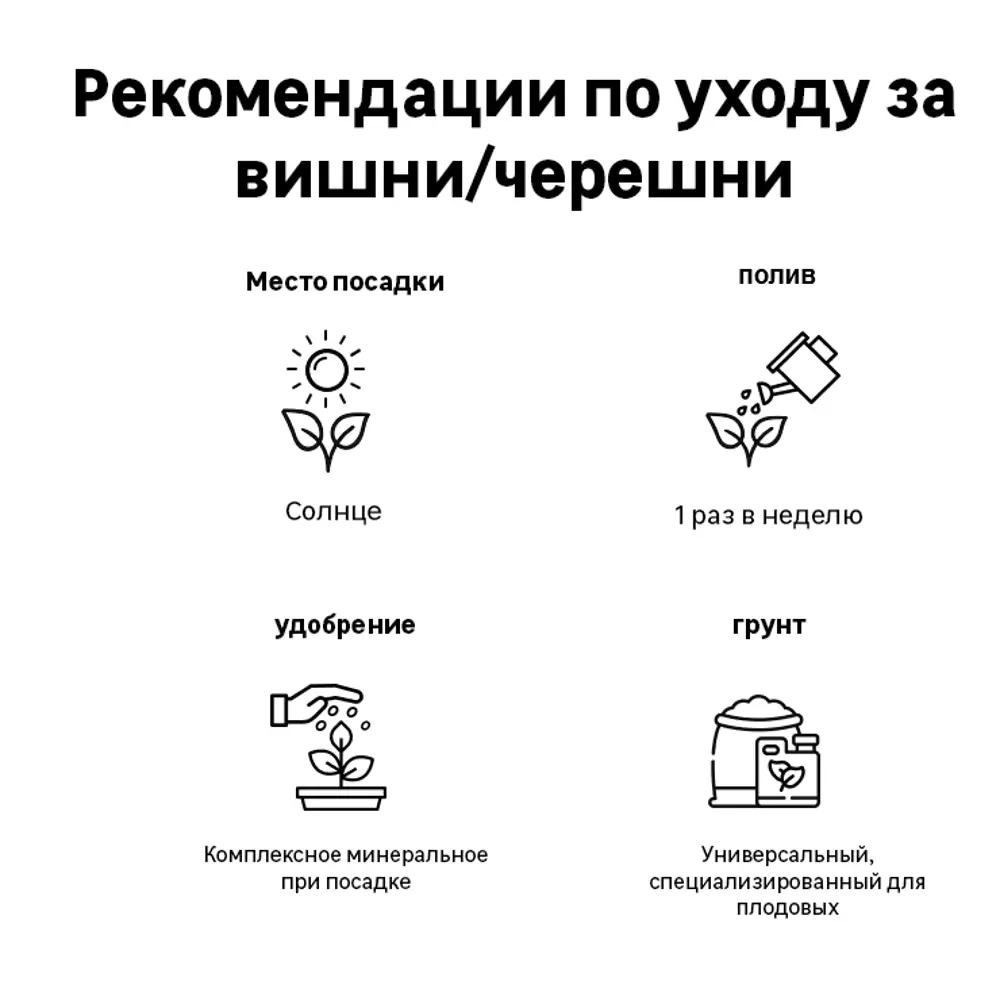 Черешня Гронкавая сетка h200 см 87737962 STLM-2118962 Santreyd  - Вид №1