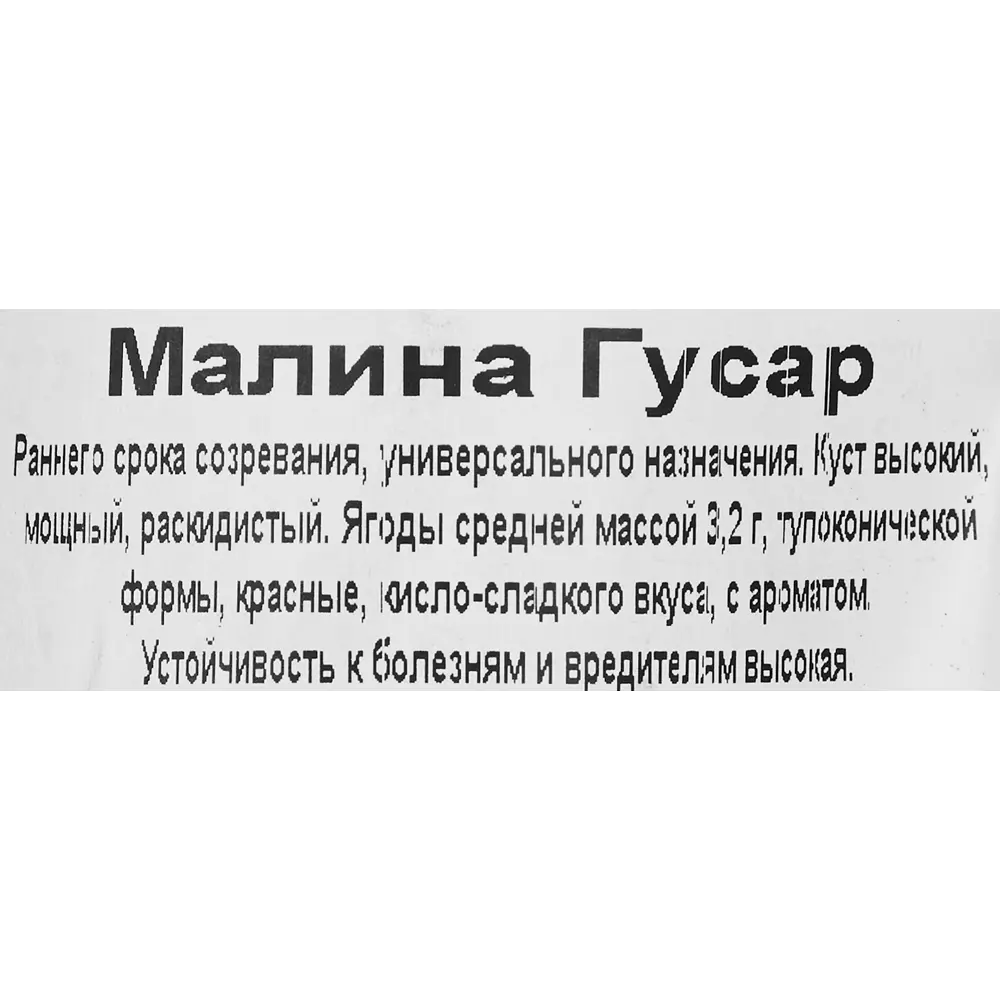 Малина Гусар красная пакет ø9 h40 см 86710672 STLM-2017010 Santreyd  - Вид №2