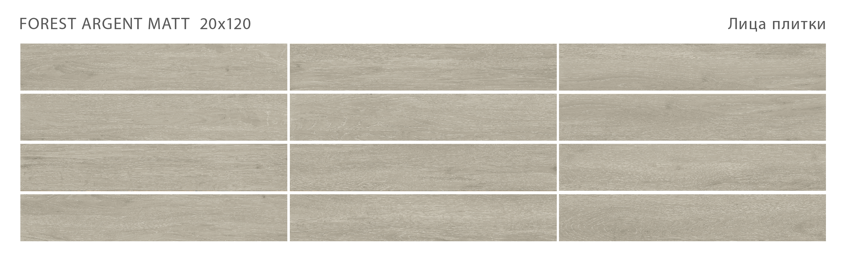 Лесное очарование: керамогранит STAROWOOD Forest STP-ST212 INCOLOR - Вид №1