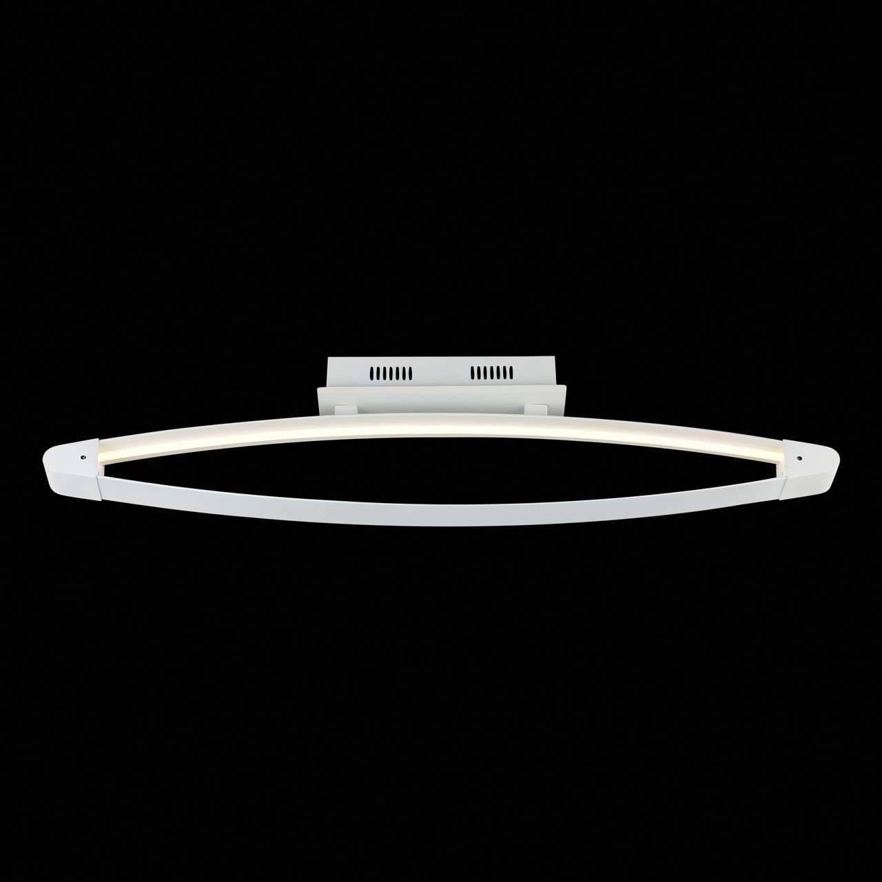 Потолочный светодиодный светильник ST Luce SL920.102.01 ST LUCE SL920 073919 Белый  - Вид №1