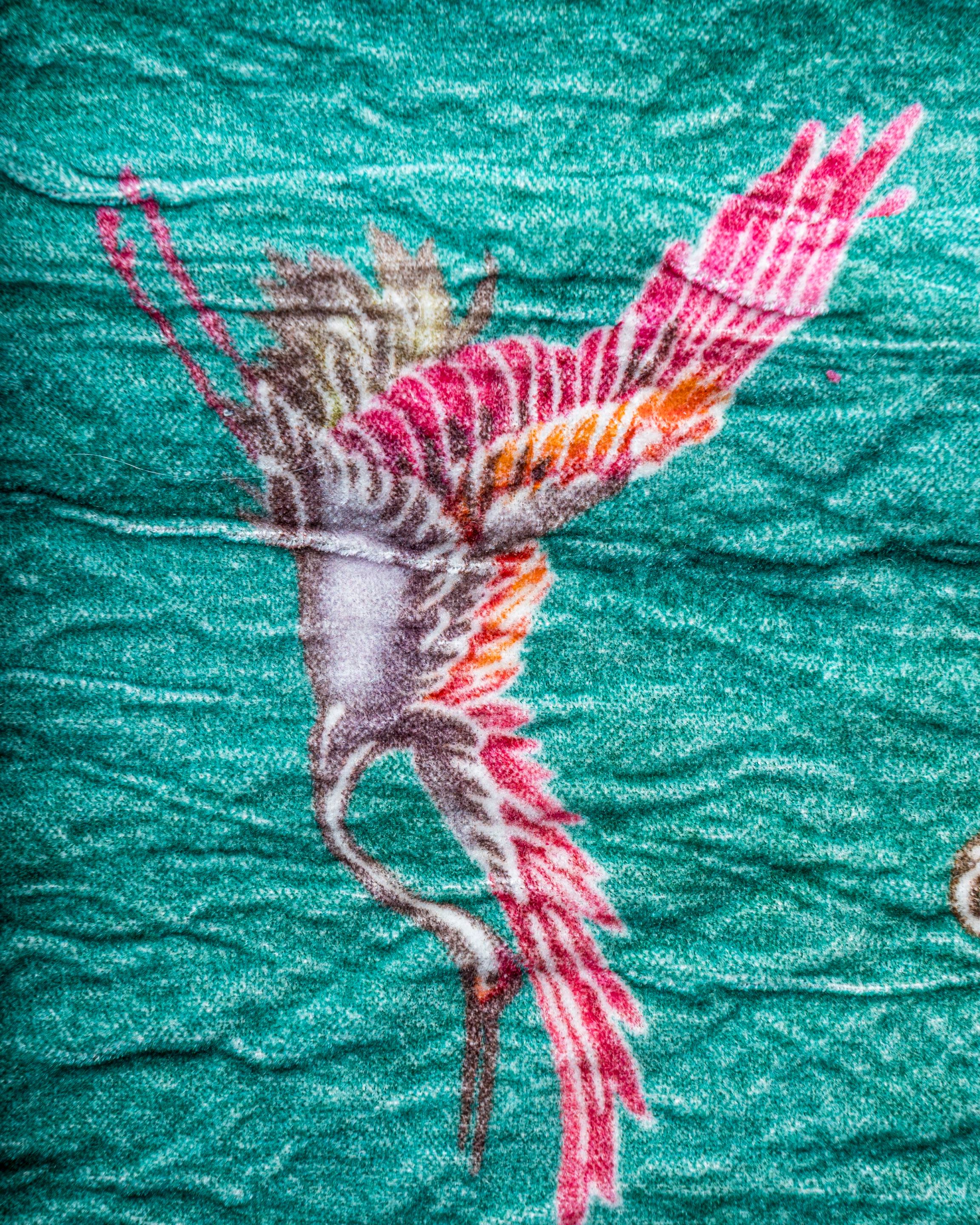 Хлопчатобумажная ткань The House of Lyria CARTORTO ARCH-00052538 - Вид №1