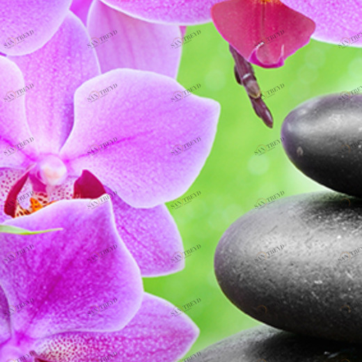 C1-290 Фотообои DIVINO Collection C 2.7х1 м C1290