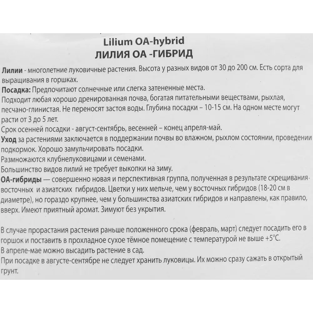 Лилия оа-гибрид Кавери 85205730 STLM-2140468 ПОИСК  - Вид №2