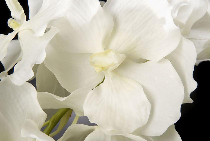 VGnewtrend Искусственное растение из полиэстера  1001625.95  - Вид №1