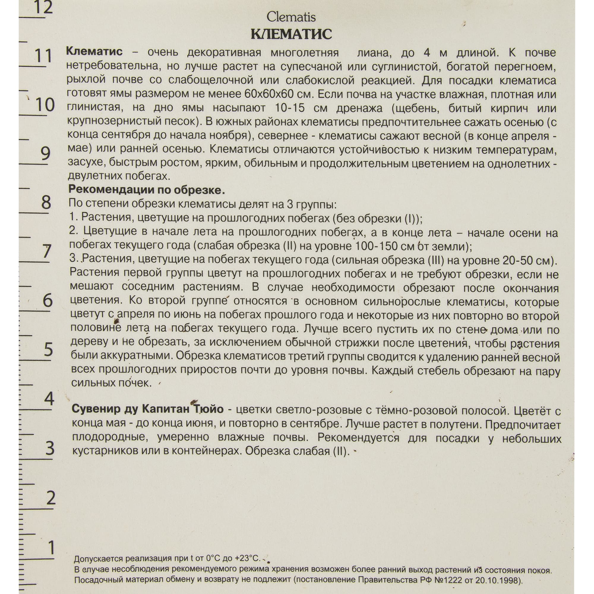 82527578 Клематис крупноцветковый Сувенир ду Капитан Тюйо в капере Santreyd  - Вид №1