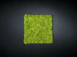 VGnewtrend Овощной каркас Vertical garden 7522714.00