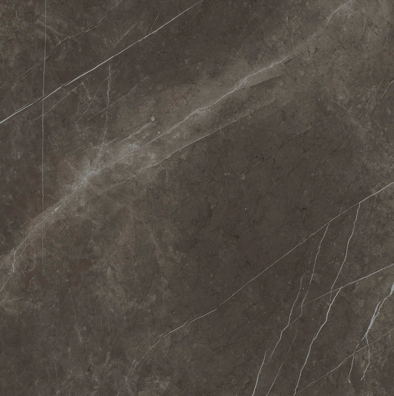 Пол / керамогранит с мраморным эффектом Fiandre Marmi Maximum ARCH-00145872 - Вид №12