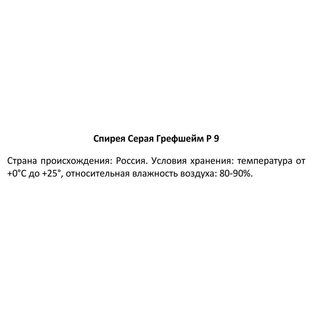Спирея Грефшейм серая ø9 h30 см 89364974 STLM-2019079 Santreyd  - Вид №3