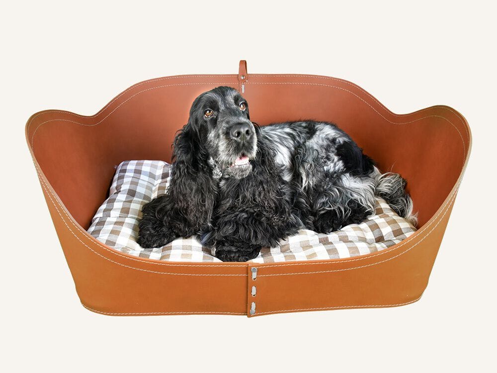 Собачья будка из регенерированной кожи LIMAC design FIRESTYLE NUVOLA ARCH-00091592 - Вид №8