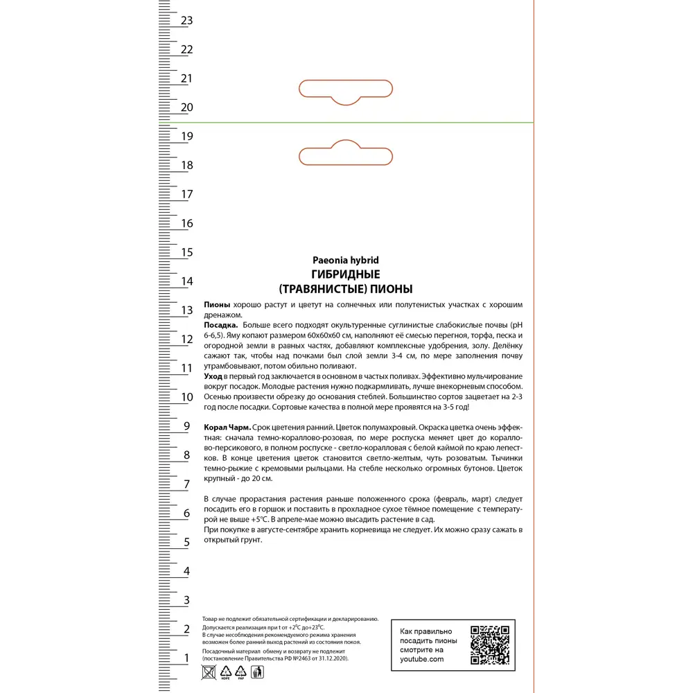 Пион молочноцветковый травянистый «Корал Чарм» разбор 1-2 82661873 STLM-2165790 Santreyd  - Вид №1