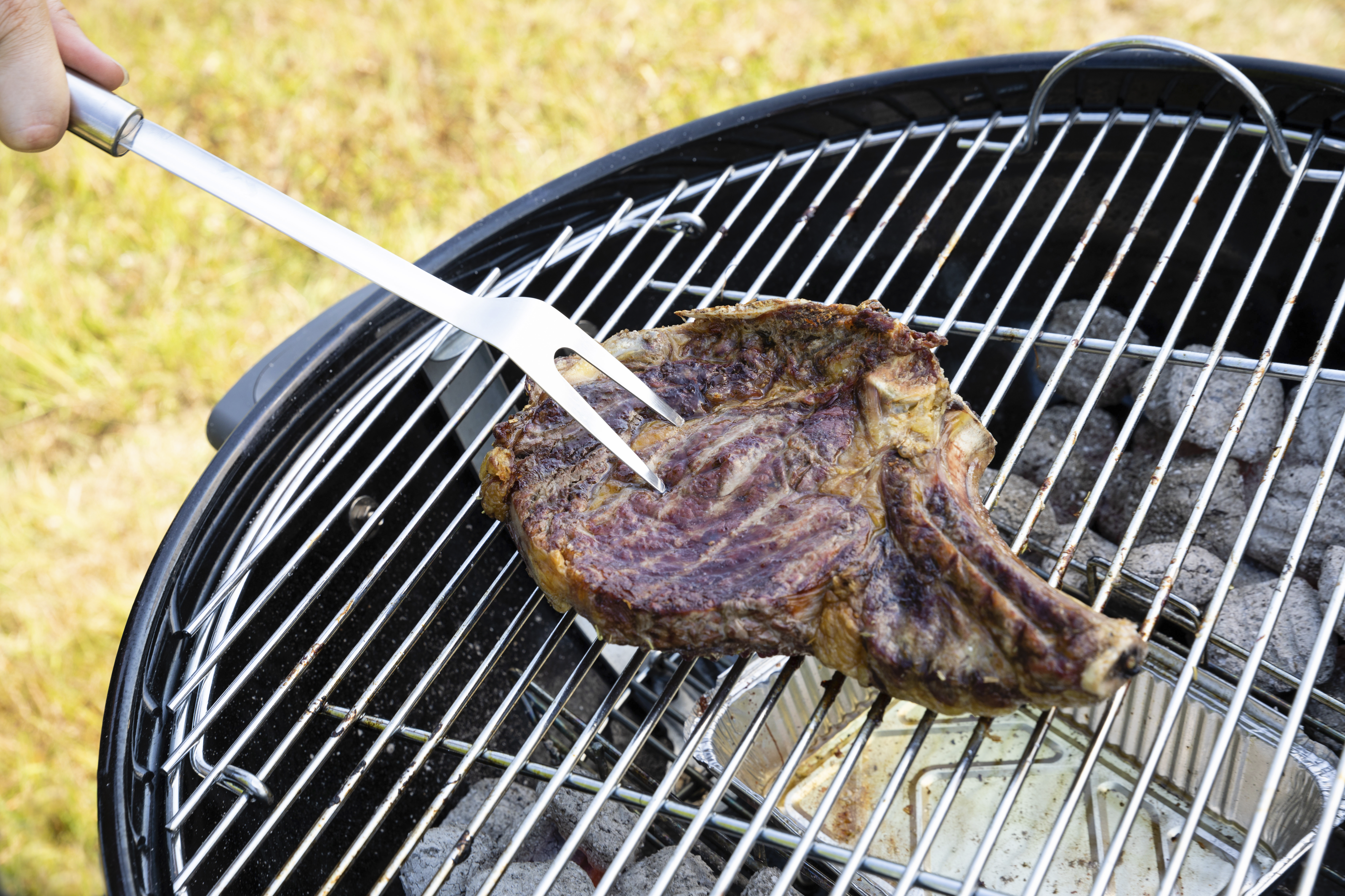 NATERIAL Alpha — вилка для барбекю из нержавеющей стали 81966320 STLM-0015895 - Вид №2