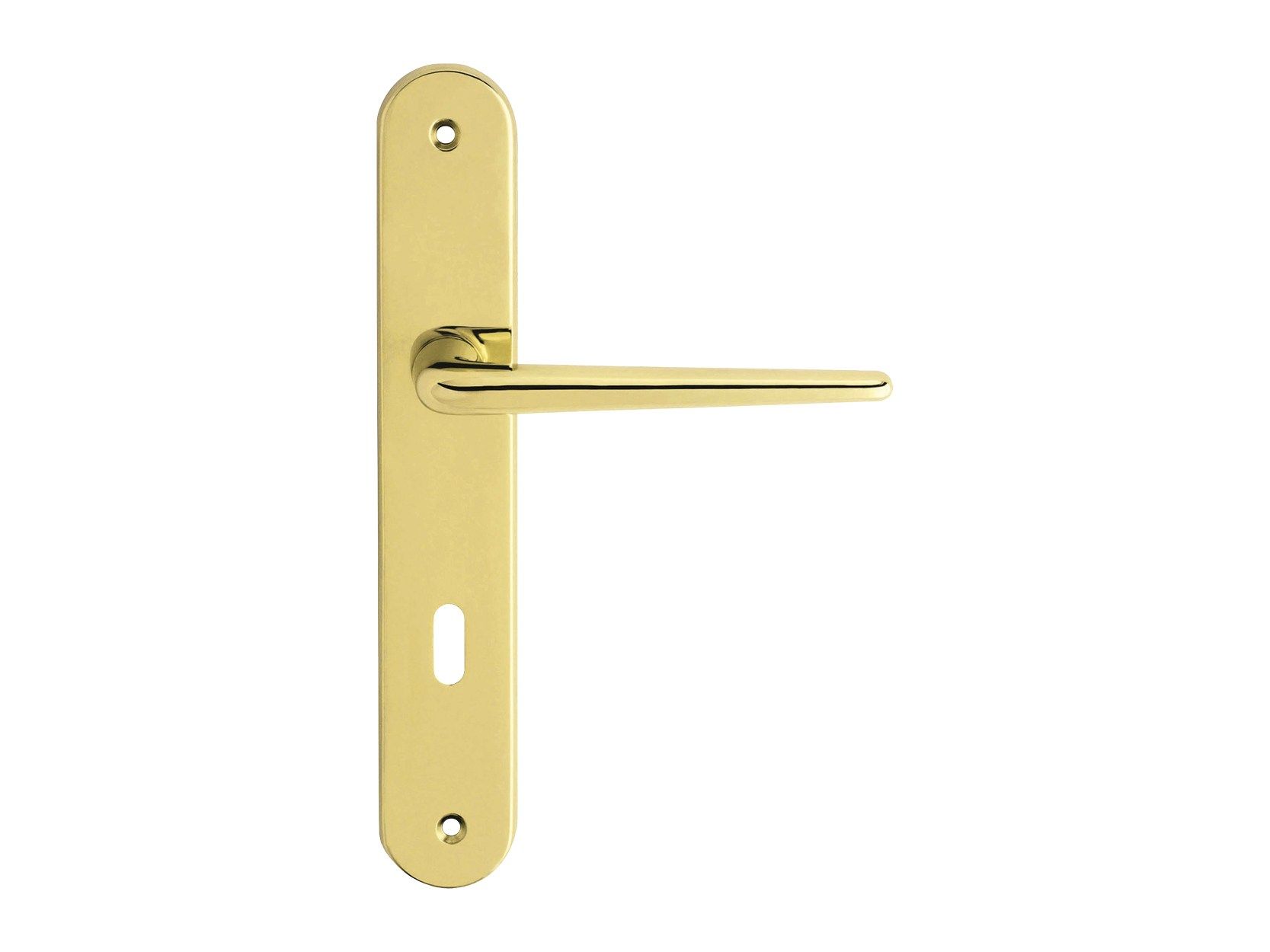 Классическая латунная ручка на пластине с насадкой LINEA CALI' Brixia ARCH-00116910 - Вид №1