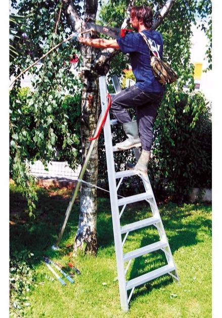 Frigerio Carpenterie Сельскохозяйственная лестница sun-id-1414661 - Вид №1