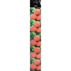Персик «Редхевен» в тубе 82142866 STLM-2058722