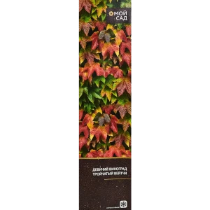 Виноград Девичий Вейтчи туба h60 см 89353030 STLM-2117996
