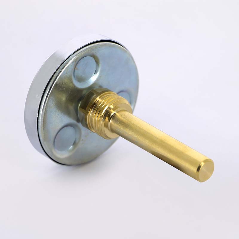 Термометр биметаллический F+R801 63 мм 120° WATTS с погружной гильзой 75 мм 10005809 - Вид №1