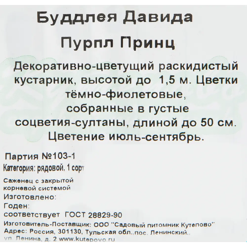 Будлея Дэвида 15x20 см 82594848 STLM-2045371 Santreyd  - Вид №2