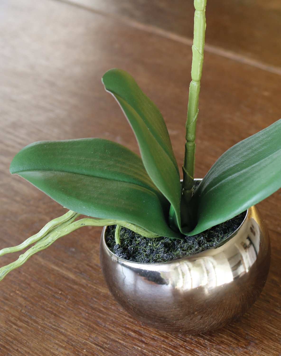 2964 778 a3 Пластиковая орхидея Phalaenopsis, горшечная, 35 см, real touch soft, бежево-белая H-andreas  - Вид №1