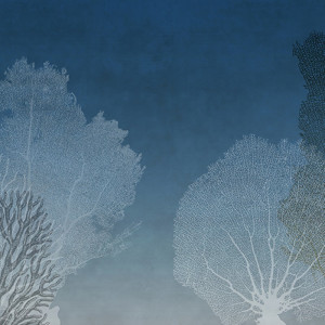 WP01085A Обои декоративные Adriani e Rossi