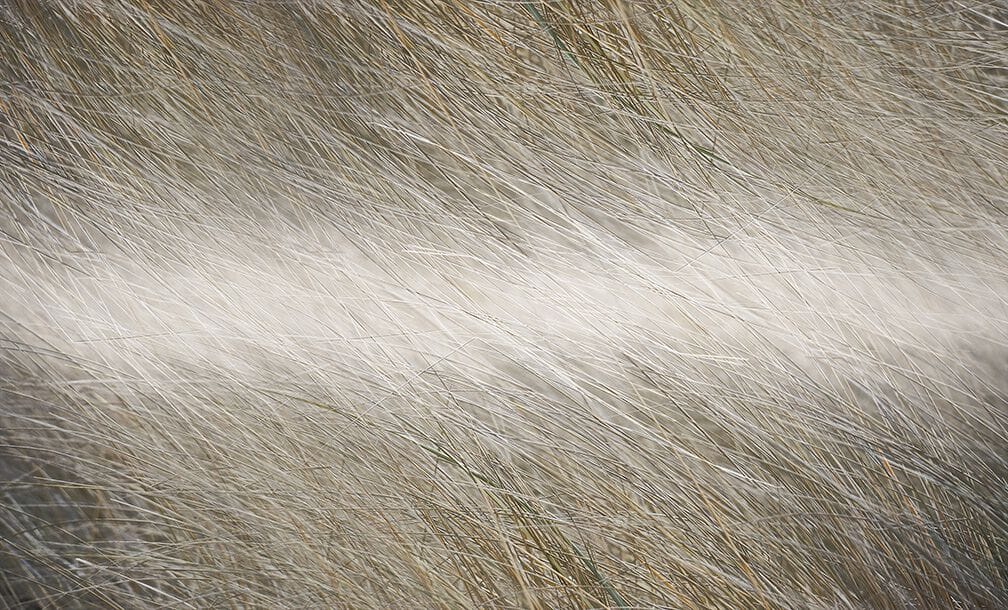 Обои с цветочными мотивами N.O.W. Edizioni NATURE / ECO DI LUCE ARCH-00057127 - Вид №1