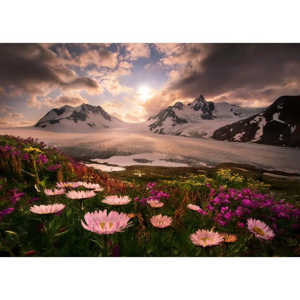 Фотообои бумажные «Аляска» 254х184 см POSTERMARKET STLM-2009383