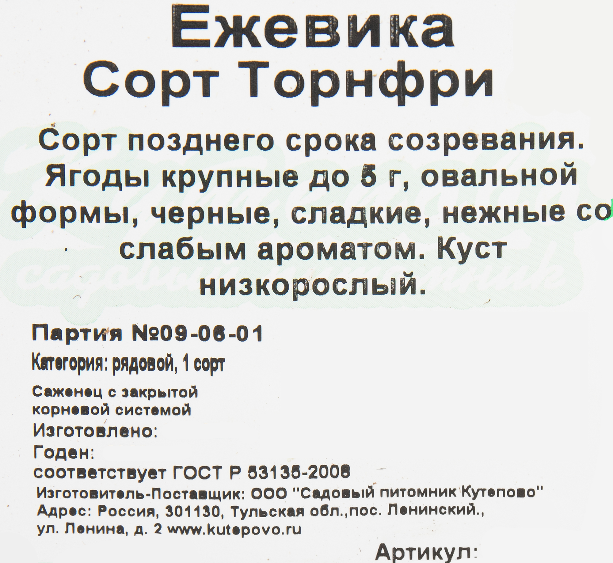 Саженец ежевики Торнфри C2 50 см 82597069 Santreyd STLM-0030985 - Вид №1