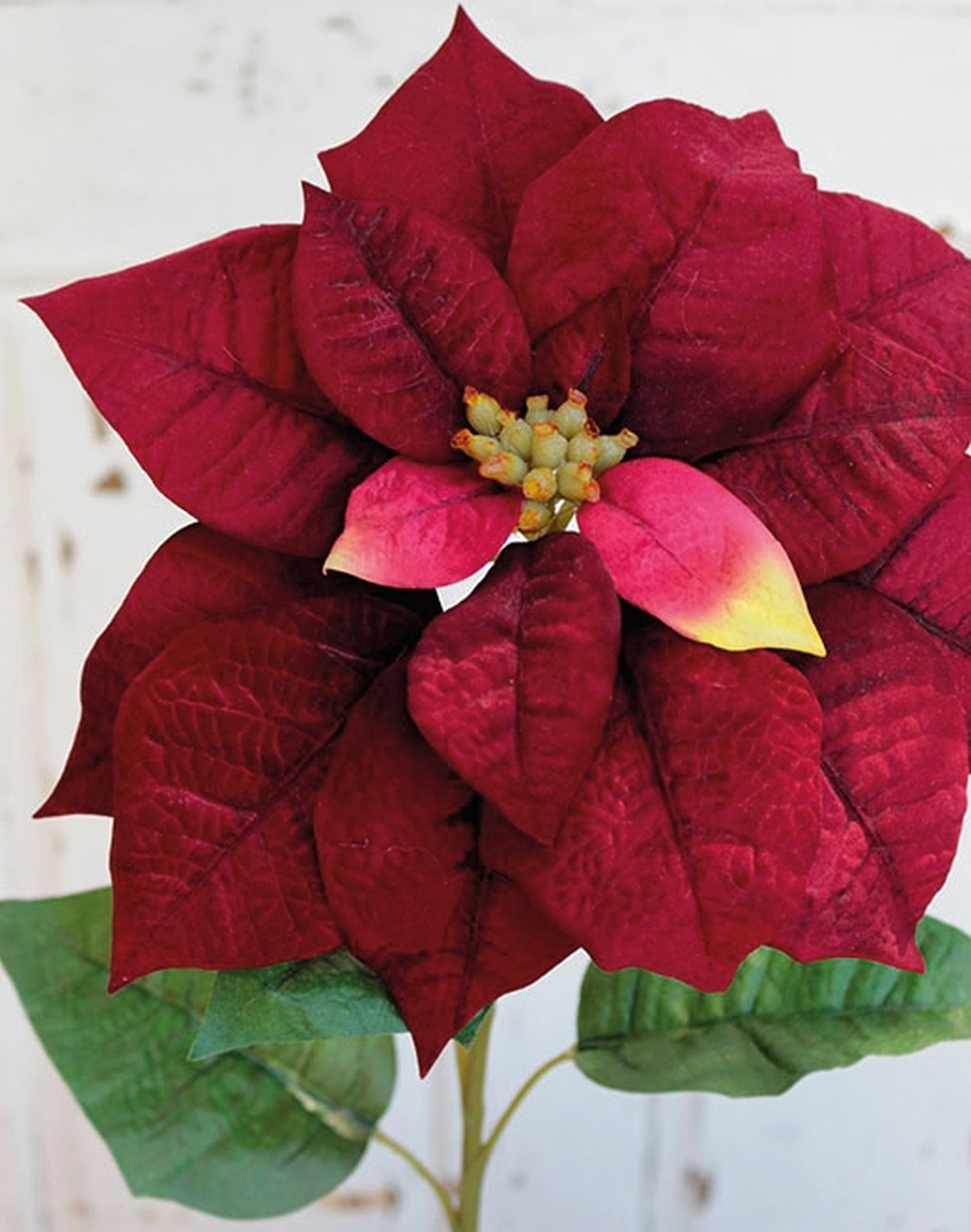 1893 444 a3 Искусственная пуансеттия, 75 см, красная H-andreas  - Вид №1