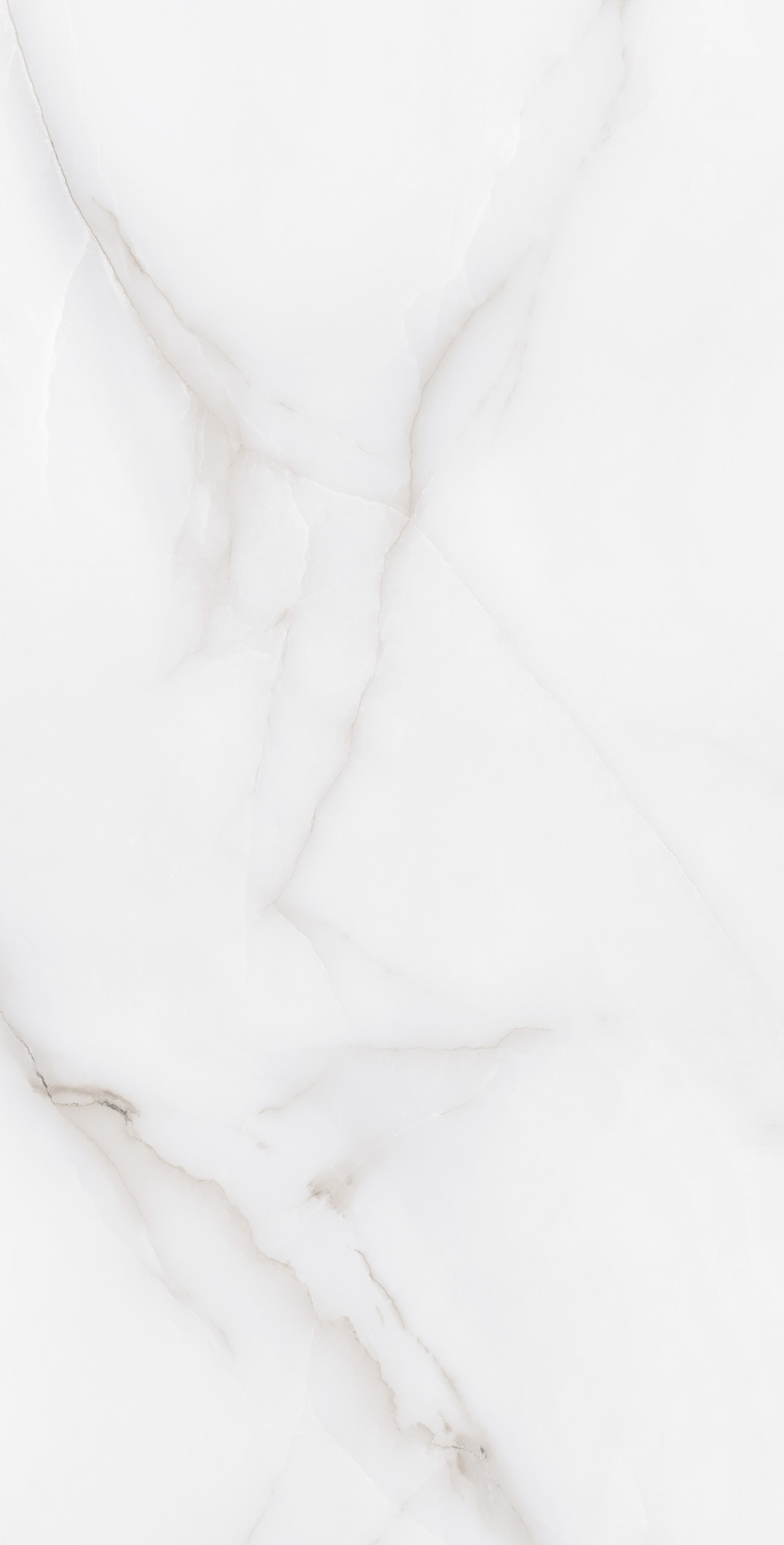 FEATHER ONYX — Элегантность в каждом сантиметре RT7012-A Arcadia Ceramica - Вид №4