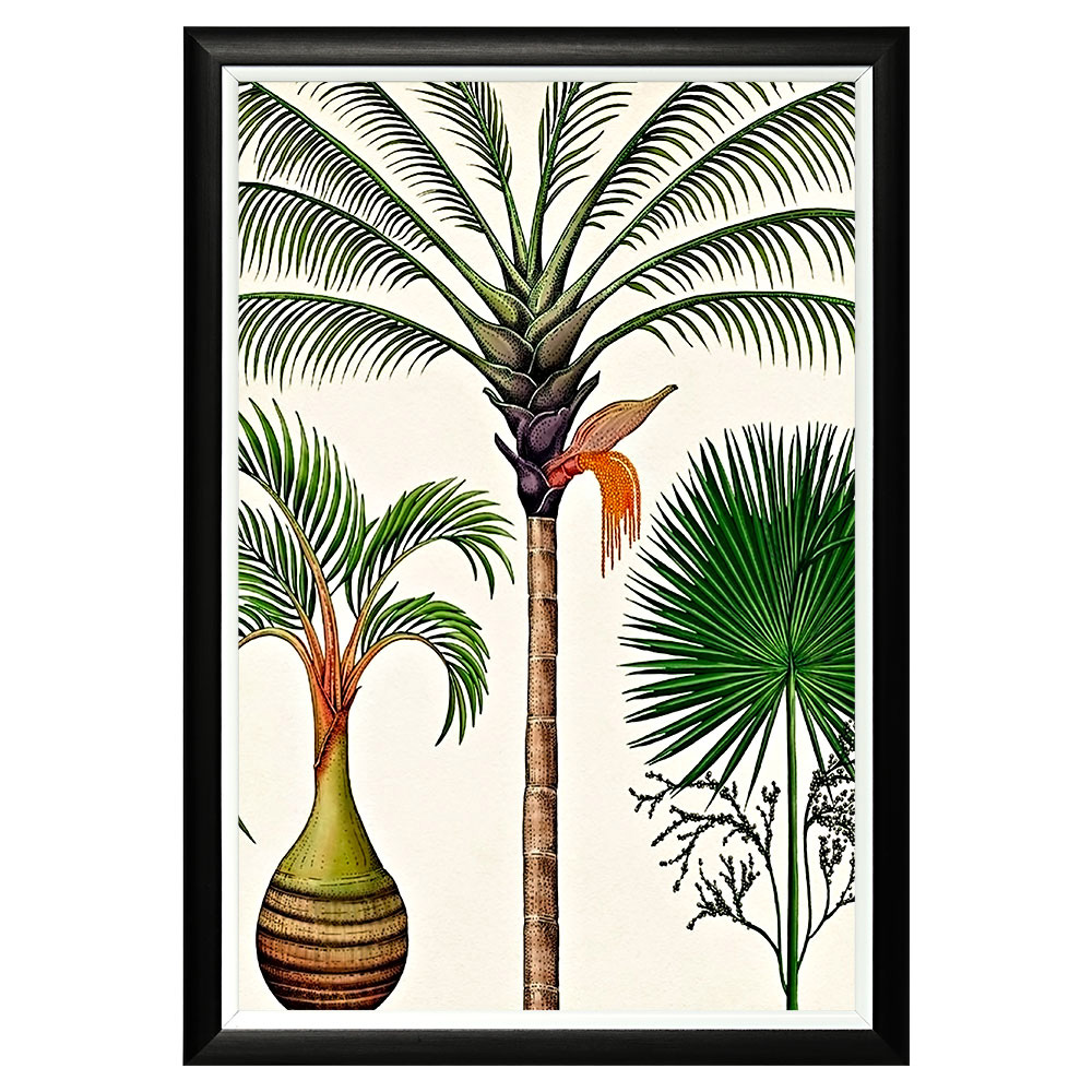 896518648_1818 Арт-постер "Словно веер" Object Desire 