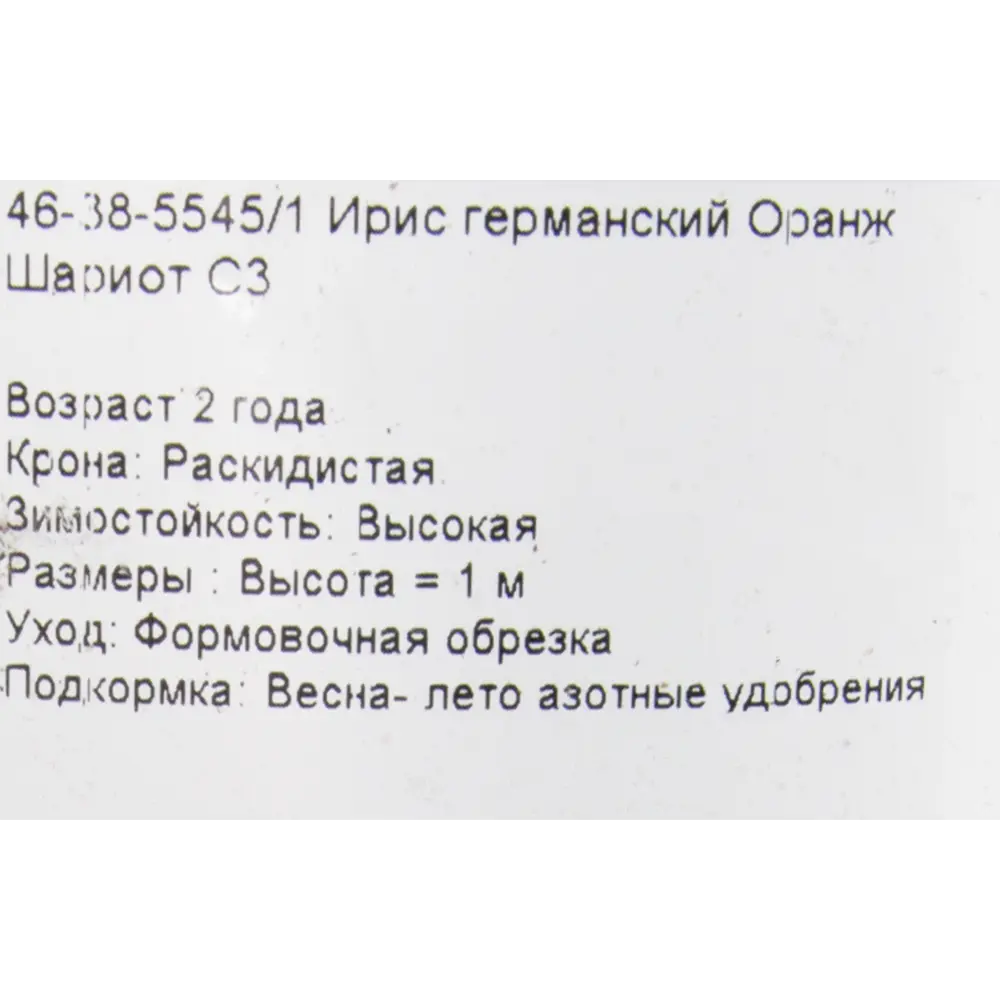 Ирис германский «Оранж Шариот» 15x75 см PLANTMARKET STLM-2073336 - Вид №1