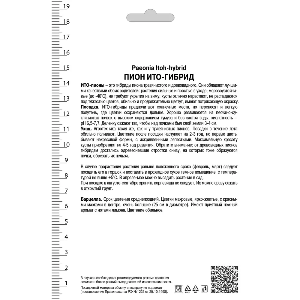 Пион ИТО-гибрид Барцелла 10/12 ,1 шт 82530304 STLM-2141647 Santreyd  - Вид №1