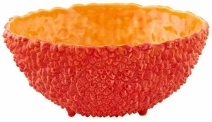 Vista Alegre Терракотовая чашка Amazónia 65026305