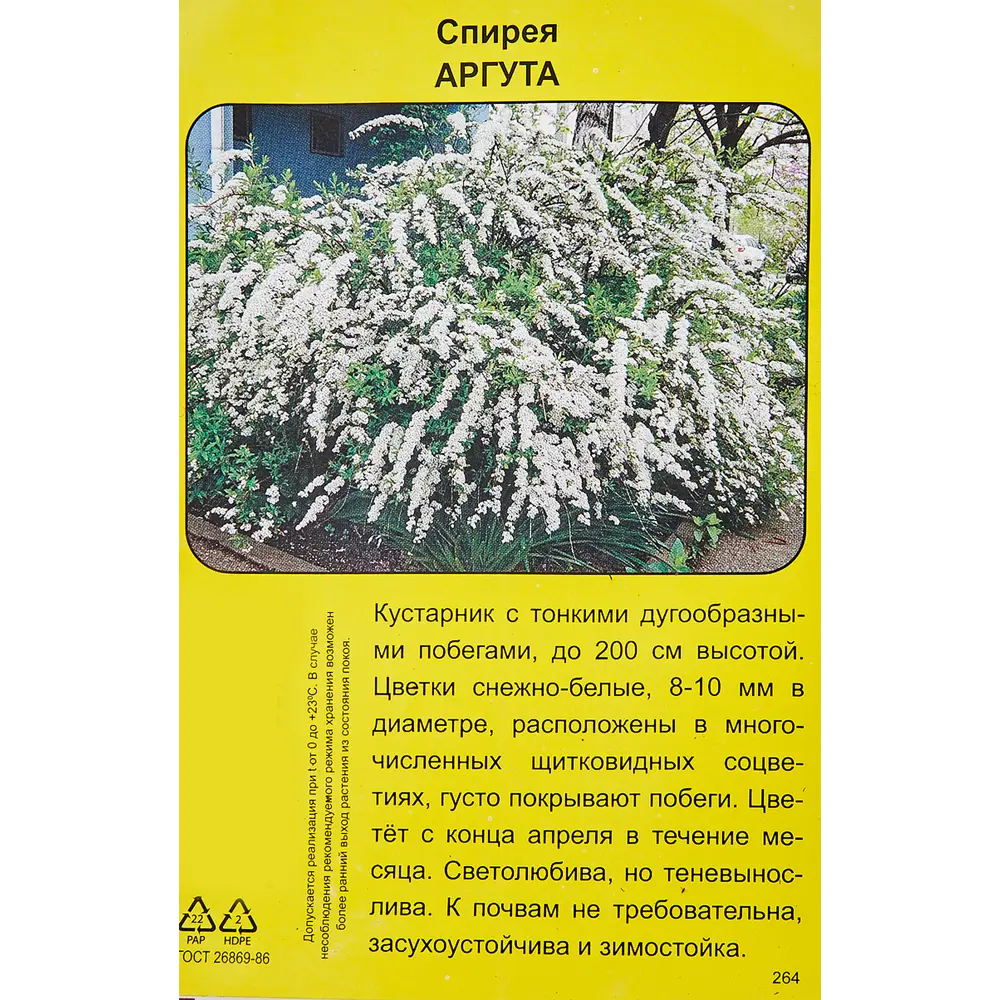 Спирея аргута h40 см 83786842 STLM-2087234 Santreyd  - Вид №2