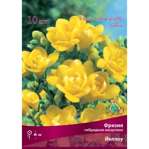 Фрезия гибридная махровая Йеллоу луковица 5/6 83597222 STLM-2027262