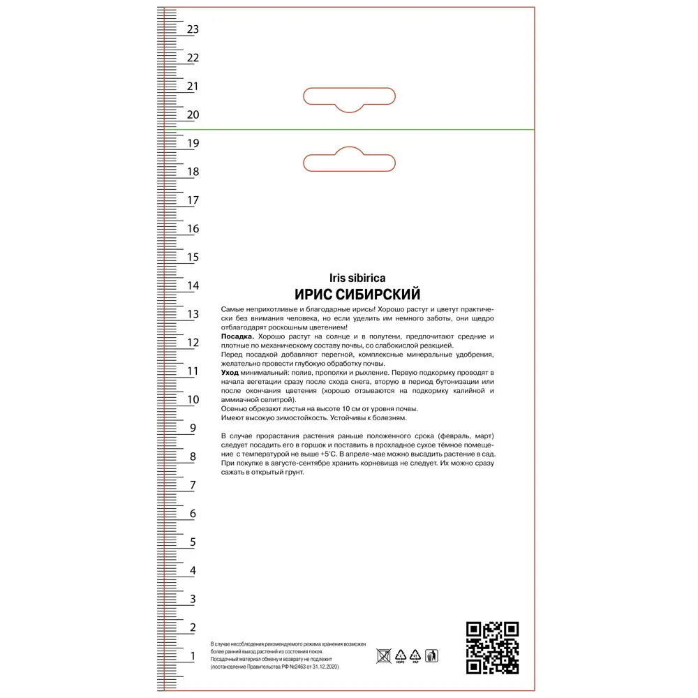 Ирис сибирский Джерри Мерфи 89452399 STLM-2069966 ПОИСК  - Вид №1
