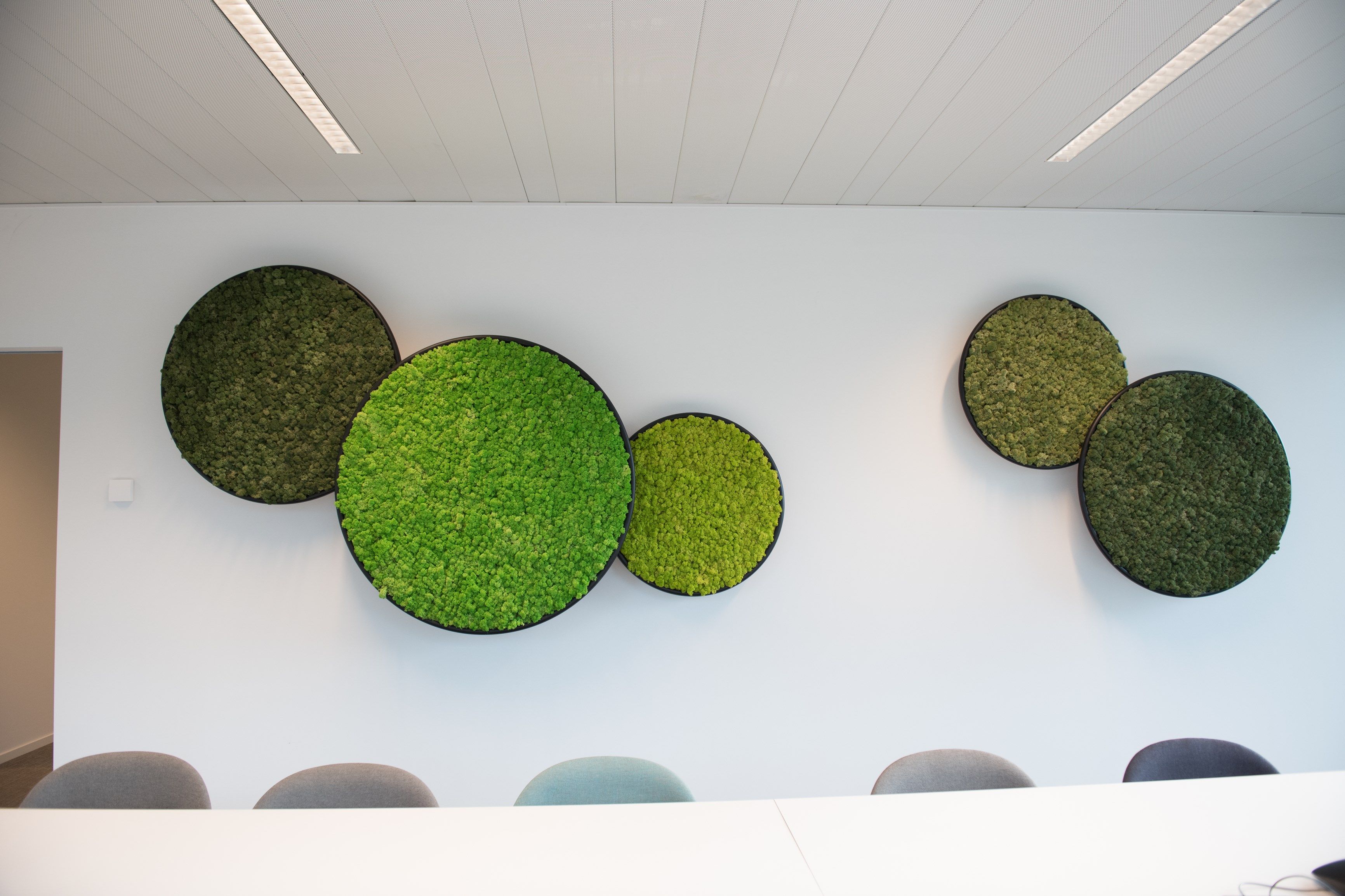 Растительная картина в стабилизированных растениях GREENMOOD G-Line ARCH-00117298 - Вид №2